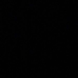 Meet your Posher, Chyenne